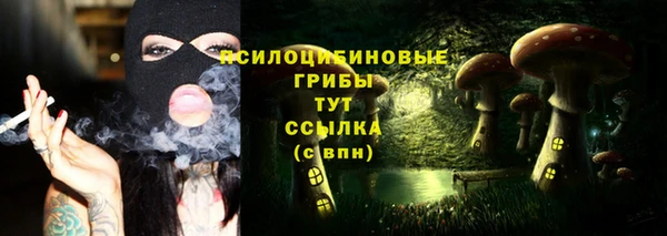 скорость Богданович