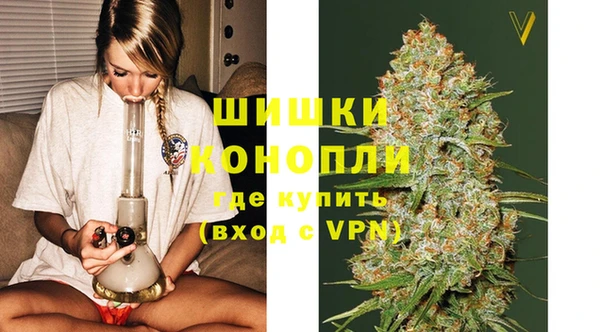 дмт Богородск