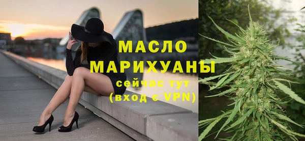 дмт Богородск