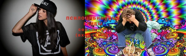 скорость Богданович
