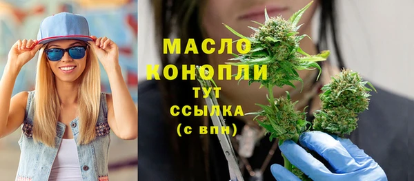 дмт Богородск