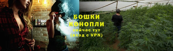 скорость Богданович